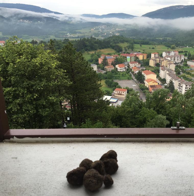 Bastion Apartment Buzet